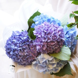 블루 수국 한가득 꽃다발